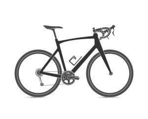 Bici da corsa